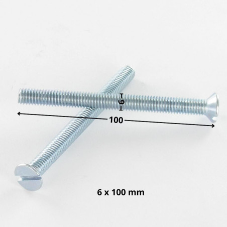 1 x Vite Per Metalli Testa Forata Con Intaglio M6X100 Zincate