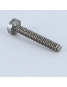 Vite Per Metalli Testa Cilindrica Con Intaglio M1.6X6... 2