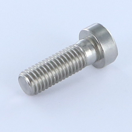 1 x Vite Per Metalli A Esagono Incassato BASSO/BUCO Chiave Esagonale Da 5 Acciaio Inox A2 M6X12