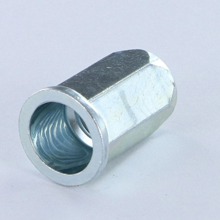 1 x Dadi Rivettabili Esagonale Testa Piatta M6X13.3 ACPTH 30 Zincate
