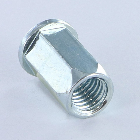 1 x Dadi Rivettabili Esagonale Testa Piatta M6X13.3 ACPTH 30 Zincate
