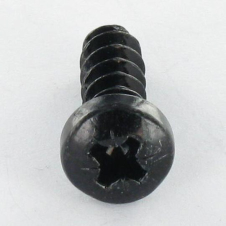 1 x Vite Per Pvc Testa Cilindrica Bombata Pozi PZ4 3X10 1412 KB Acciaio Zincato Nero microviti