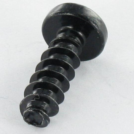 1 x Vite Per Pvc Testa Cilindrica Bombata Pozi PZ4 3X10 1412 KB Acciaio Zincato Nero microviti