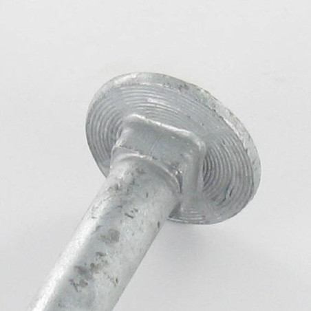 1 x Bullone (Venduto Con Dado) Testa Poelier Con Colletto Quadrato M10X200 Filettatura Parziale Elevata Resistenza Alla