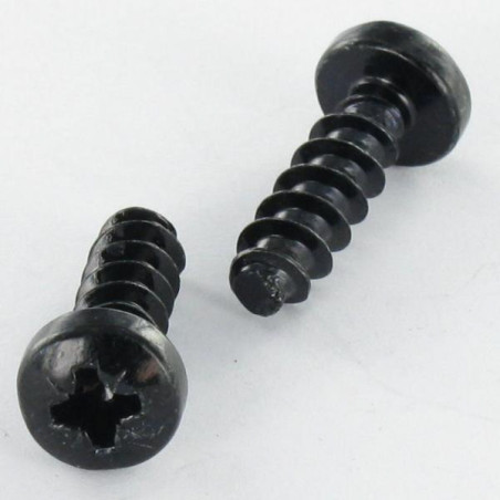 1 x Vite Per Pvc Testa Cilindrica Bombata Pozi PZ5 5X16 Acciaio Zincato Nero