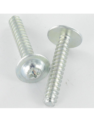 1 x Vite Per Pvc Testa Poelier Larga 5X30 T25...