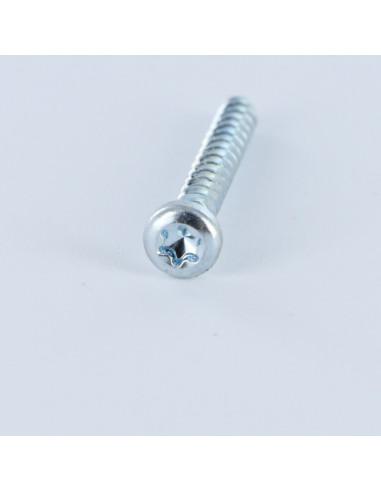 1 x Vite Per Pvc Testa Cilindrica T20 4x16 T3...