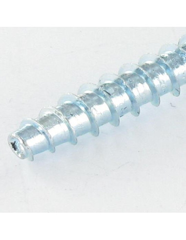 1 x Vite Per Pvc TRILOBO Testa Forata Pozy 3X8...
