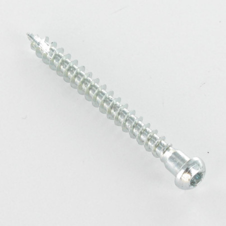 1 x Vite HARDWARE ANGOLARE Testa Cilindrica T20 cut Chiodo Anti-Spacco 17 Zincate 5X60