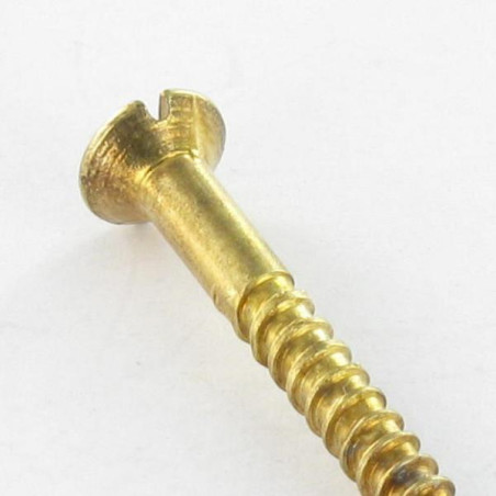 1 x Viti Per Legno Testa Forata Con Intaglio 3X16 Acciaio Ottonato microviti