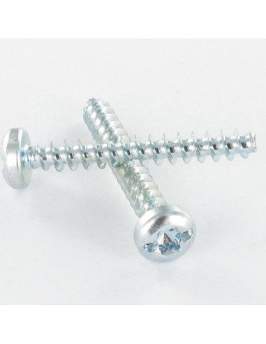 1 x Vite Per Pvc Testa Cilindrica T25 /FEND...
