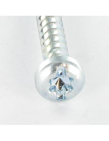 1 x Vite Per Pvc Testa Cilindrica T25 /FEND...