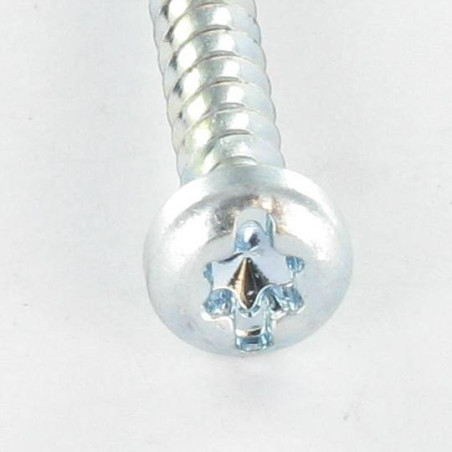 1 x Vite Per Pvc Testa Cilindrica T25 /FEND 5X12 Filetto 30 Zincate
