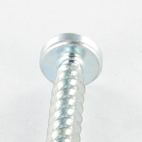 1 x Vite Per Pvc Testa Cilindrica T25 /FEND 5X12 Filetto 30 Zincate