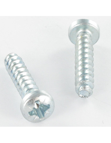 1 x Vite Per Pvc Testa Cilindrica Pozy 6X29...