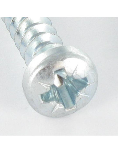 1 x Vite Per Pvc Testa Cilindrica Pozy 6X29...