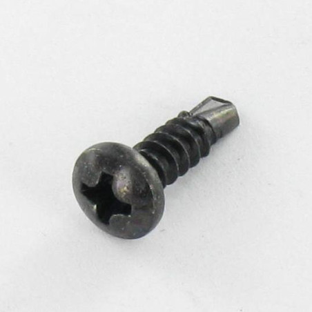 1 x Vite Autoperforante Testa Cilindrica Bombata Phillips 3,9X16 A Acciaio Zincato Nero