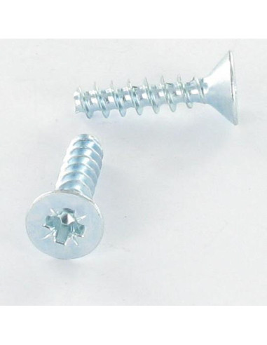 1 x Vite Per Pvc Testa Forata Pozi PZ5 4X10...