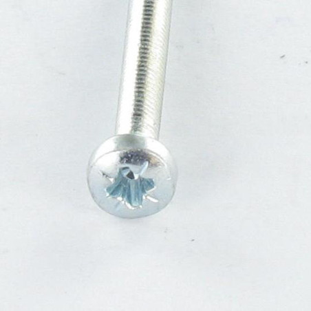 1 x Vite Autofilettante testa bombata larga M3X6 Pozi PZ4 Zincate microviti
