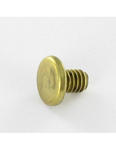 1 x PERSICA Ottone Testa Piatta 4,3X6 T9 EP1.5