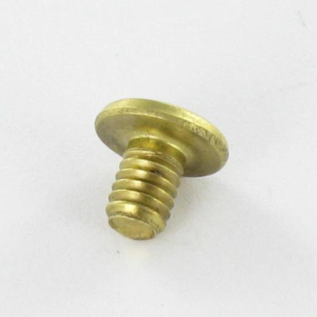1 x PERSICA Ottone Testa Piatta 4,3X6 T9 EP1.5