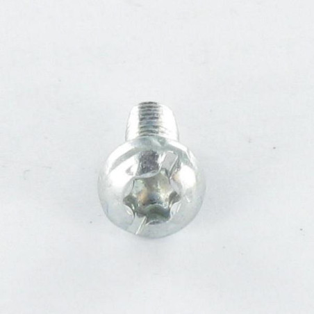 1 x Vite Autofilettante Testa Cilindrica Torx Filettata Su Con Intaglio 5X10 Dentellato Acciaio Zincato Nero