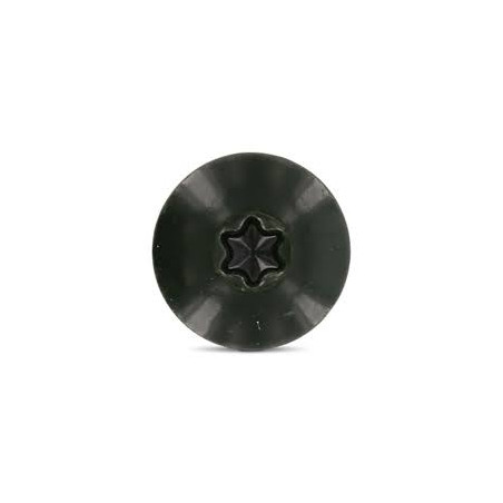 1 x Vite per facciata T20 4,8 x 38 Diametro Della Testa: 12.3 Acciaio Inox A2 Ral6009 Verde Abete