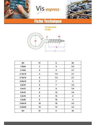 1 x Golfare A Vite Legno 3,2 x 20 Occhio 8 Zincate