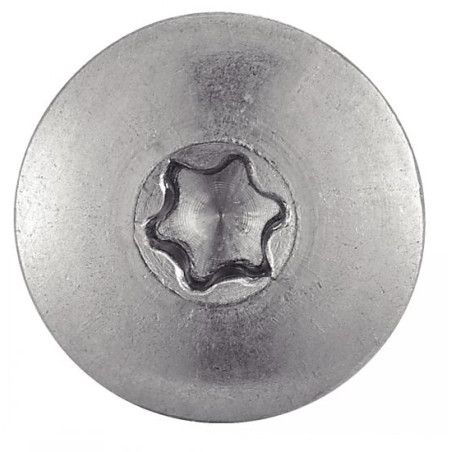 1 x Vite per facciata T20 5,5X60 Diametro Della Testa: 12.3 Acciaio Inox A2