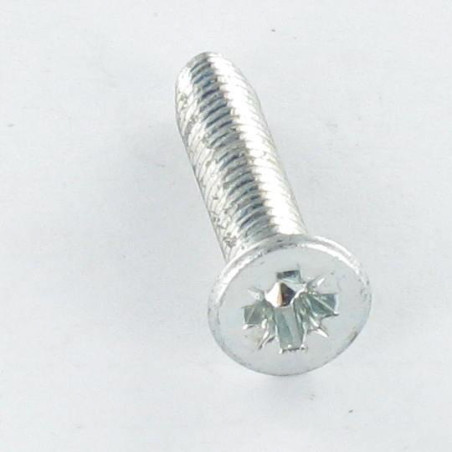 1 x Vite Autofilettante Testa Forata M3.5X10 Pozi PZ5 Zincate