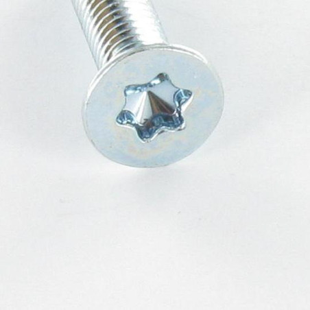 1 x Vite Per Metalli Testa Forata T30 M6X30 Classe 4.8 Zincate
