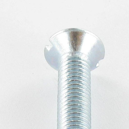 1 x Vite Per Metalli Testa Forata Con Intaglio M3X12 Zincate microviti