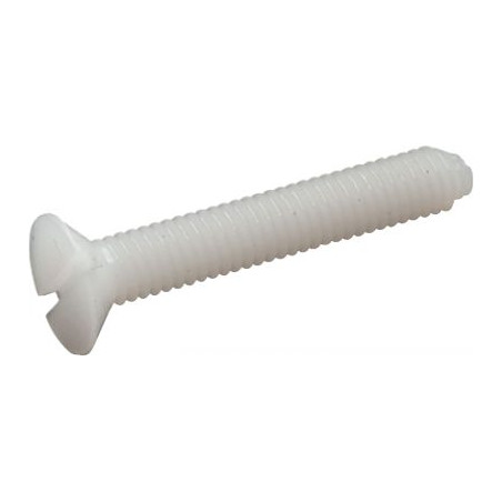 1 x Vite Per Metalli Testa Forata Con Intaglio M10X25 naturale nylon