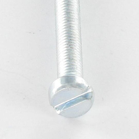 1 x Vite Per Metalli Testa Cilindrica Con Intaglio M4X6 Zincate