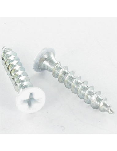 1 x Vite Per Pvc Testa Forata Phillips 4,2 x 25...