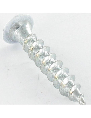 1 x Vite Per Pvc Testa Forata Phillips 4,2 x 25...