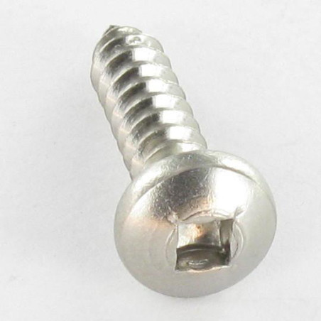 1 x Vite Per Lamiera Testa Cilindrica Quadrato 3,9X32 Ingombro quadrato 2 Acciaio Inox A2
