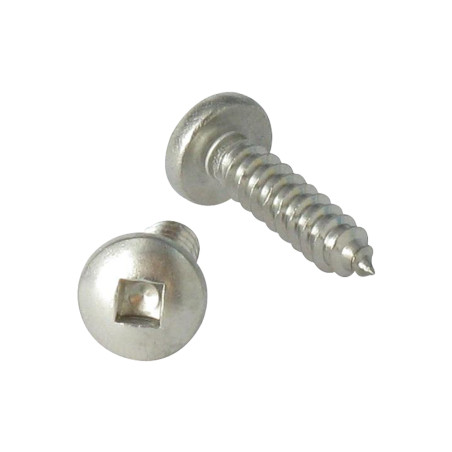 1 x Vite Per Lamiera Testa Cilindrica Quadrato 4.8X25 Ingombro quadrato 2 Acciaio Inox A2