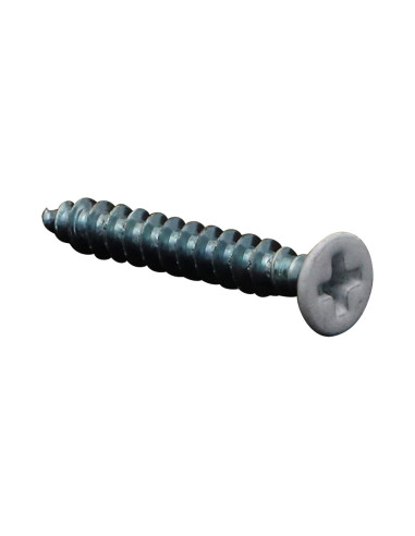 1 x Vite Per Pvc 30 Testa Forata Phillips...