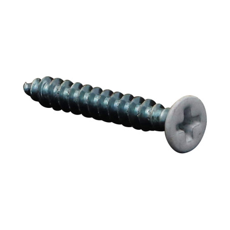 1 x Vite Per Pvc 30 Testa Forata Phillips 4,3X30 Autoperforante Zincate Ral9010 Bianco Puro