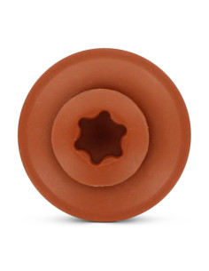 Vite di cresta Testa Forata Bombata T20 Acciaio Inox A2... 2