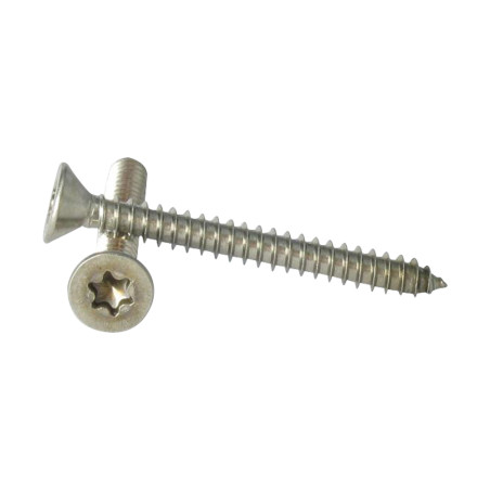 1 x Vite Per Lamiera Testa Forata 3,9X32 T15 Acciaio Inox A2
