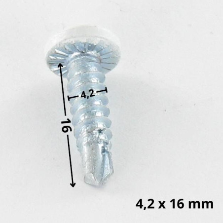 1 x Vite Autoperforante Testa Cilindrica EMPR Quadrato 4,2 x 16 Zincate Laccato Bianco 9010