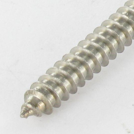 1 x Vite Per Lamiera Testa Forata 3,9X45 T15 Acciaio Inox A2