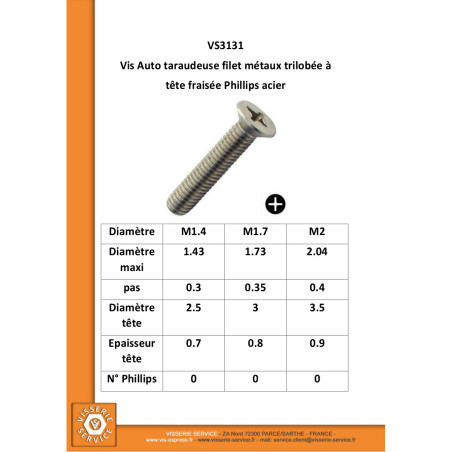 1 x Vite Autofilettante Filetto Metalli Testa Forata Phillips Zincate 1,4X6 microviti