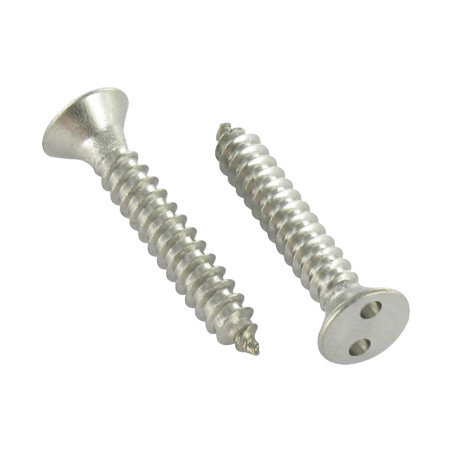 1 x Vite Per Lamiera Di Sicurezza Testa Forata SNAKE EYES 3,5X19 Acciaio Inox A2