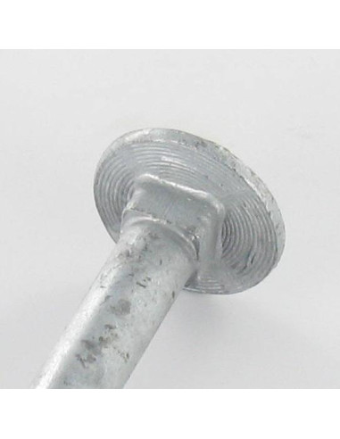 1 x Bullone (Venduto Con Dado) Testa Poelier...