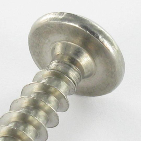 1 x Vite Bandella Di Sicurezza T30 con perno 6X50 Acciaio Inox A2