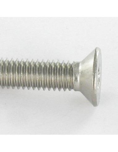 1 x Vite Autofilettante Acciaio Inox A2 Testa...