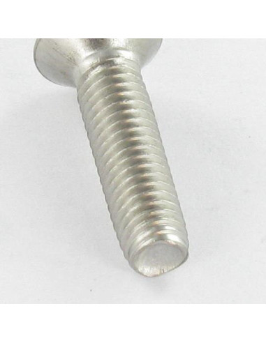 1 x Vite Autofilettante Acciaio Inox A2 Testa...